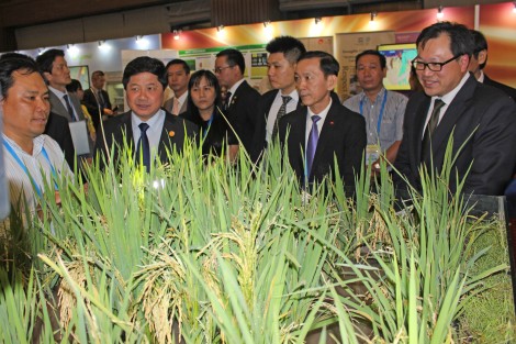 Khai mạc Triển lãm APEC về  sản phẩm lương thực và công nghệ mới trong nông nghiệp