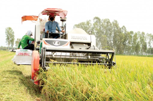 Phát triển hệ thống lương thực bền vững