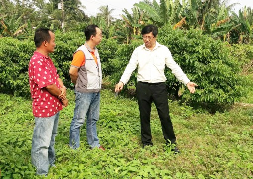Bảo vệ môi trường sinh thái để phát triển du lịch