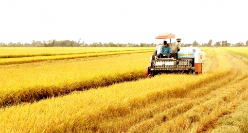 Các nền kinh tế APEC thống nhất cao mục tiêu an ninh lương thực