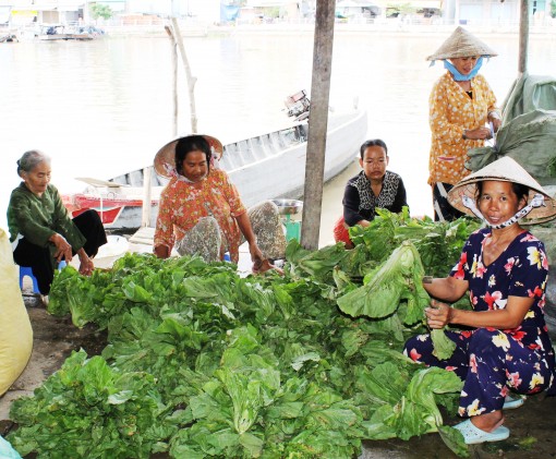 Kể chuyện ăn lành