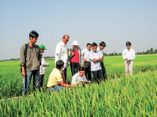 Động lực cho nghiên cứu, chọn tạo giống mới