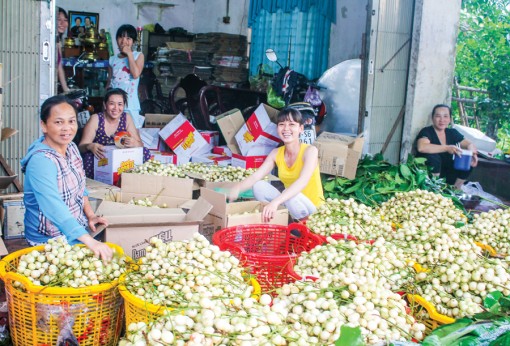 Nhiều giải pháp thúc đẩy phát triển kinh tế