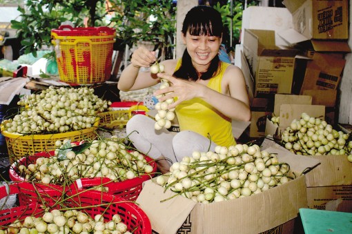 Dâu Hạ Châu tăng giá