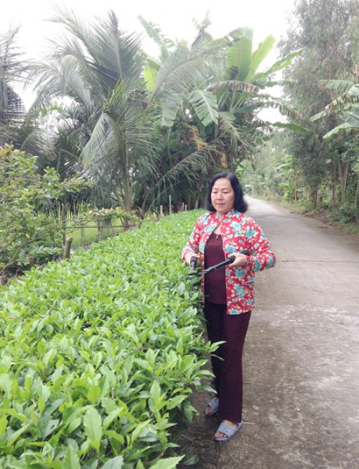 Hiệu quả thiết thực mô hình 
“5 không, 3 sạch”