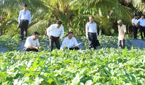 Cựu chiến binh đoàn kết giúp nhau nâng cao mức sống