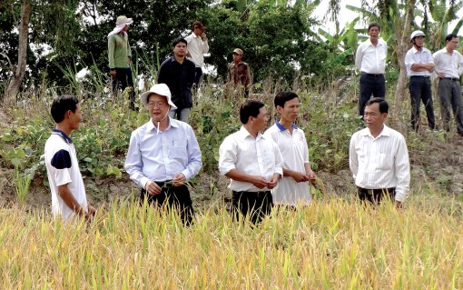 Nhiều chuyển biến tích cực