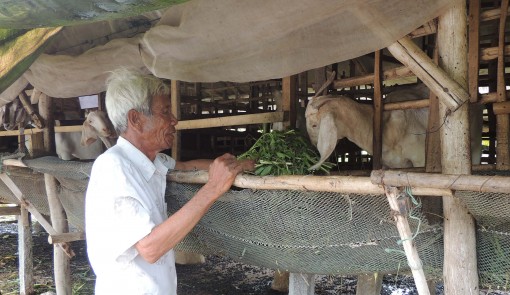 Uyển chuyển, thích ứng với tình hình mới