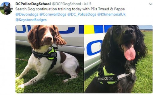 Anh ra mắt đội chó phát hiện nghi can ấu dâm