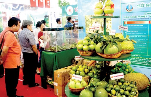 “Giấy thông hành” vào kênh siêu thị