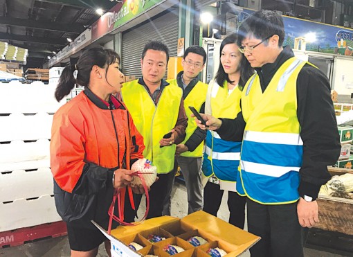 Thành phố Cần Thơ xúc tiến thương mại, đầu tư tại thị trường Úc