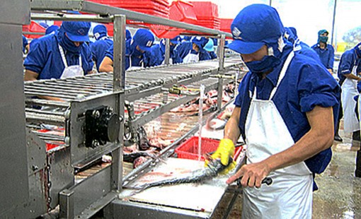 Tăng cường thương mại, đầu tư với Úc: Đường đã mở