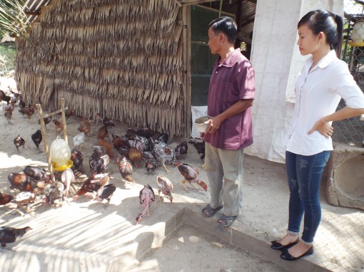 បង្ការ​បង្រ្កាប​ជំ​ងឺ​គ្រុន​ផ្ដា​សាយ​បក្សី