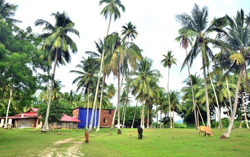 Chút kinh nghiệm cho người lần đầu

đến Langkawi