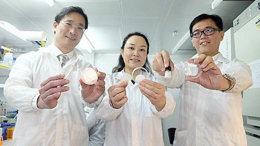 Miếng dán chữa thương 2 trong 1