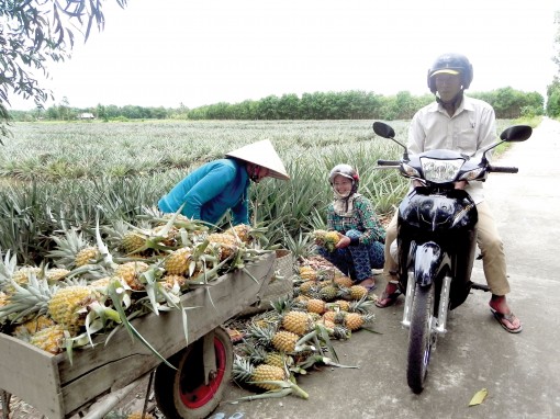 លើក​កម្ពស់​ប្រ​សិទ្ធ​ភាព​សេដ្ឋ​កិច្ច​ប្រ​ជា​ជន