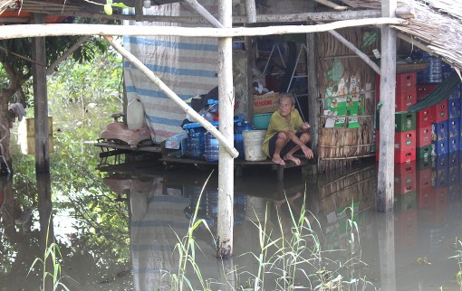 Đê bao sạt lở, gây ngập lụt tại cồn Khương