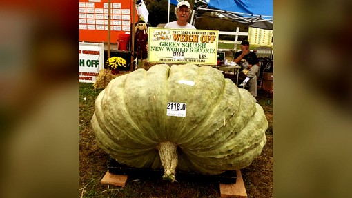 Người 3 lần giành kỷ lục về nông sản “khủng”!