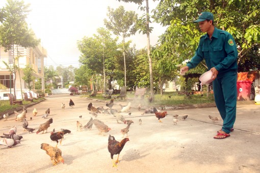 Thi đua để hoàn thành nhiệm vụ chính trị