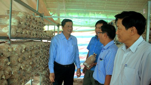 Lãnh đạo thành phố đi khảo sát thực tế tại huyện Phong Điền