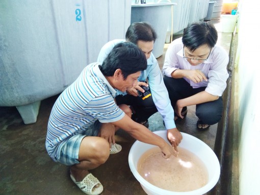 Công nghệ cao là chìa khóa cho nông nghiệp hội nhập