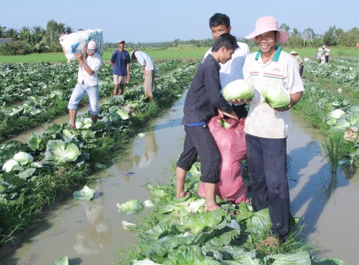 សេដ្ឋ​កិច្ច​សហ​ការ​របស់​ជន​រួម​ជាតិ​ខ្មែរ​ឃុំ​ង៉ូវ​ឡាក