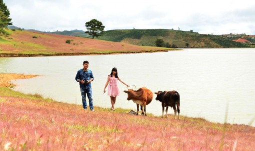 Giao mùa trên cao nguyên Lang Biang