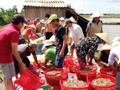 Ở nơi “một nhà sáng đèn cả xóm thao thức”