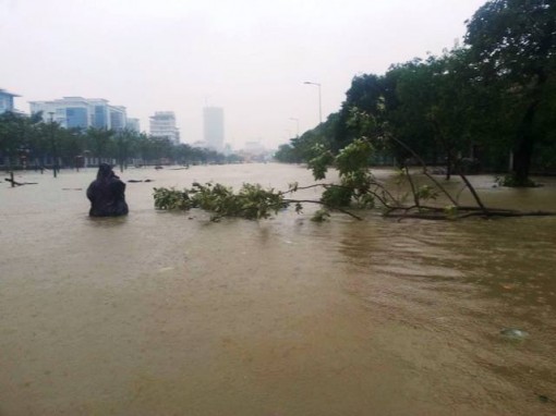 Chính phủ Nhật Bản hỗ trợ các tỉnh Thừa Thiên Huế và Quảng Nam bị thiệt hại do bão số 12