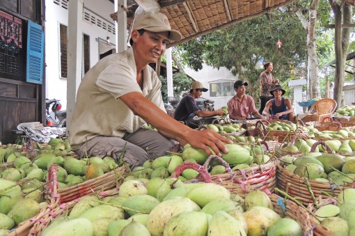 Nâng chất toàn diện các tiêu chí

để Phong Điền phát triển bền vững