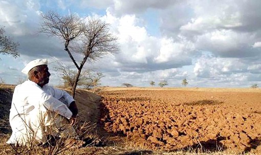 2017 nằm trong tốp 3 năm nóng kỷ lục