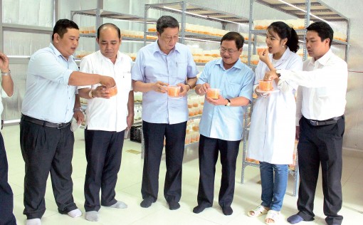 Bài 3: Nội lực hạn chế - Cần giải pháp để khắc phục