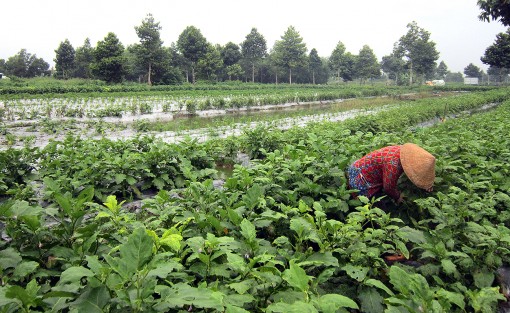 Lợi cả đôi đường