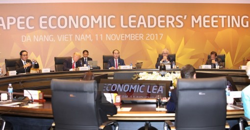 Khai mạc Hội nghị các nhà lãnh đạo kinh tế APEC lần thứ 25 ở Đà Nẵng