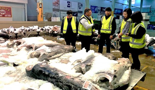 Thị trường Úc có rất nhiều cơ hội

cho doanh nghiệp xuất khẩu Việt Nam