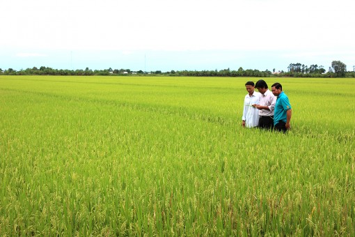 Ưu tiên phát triển kinh tế xanh