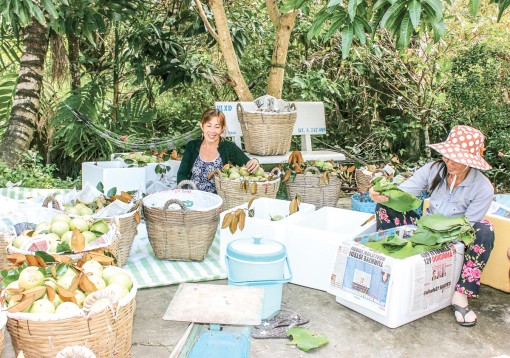 Rau quả bứt phá mạnh mẽ