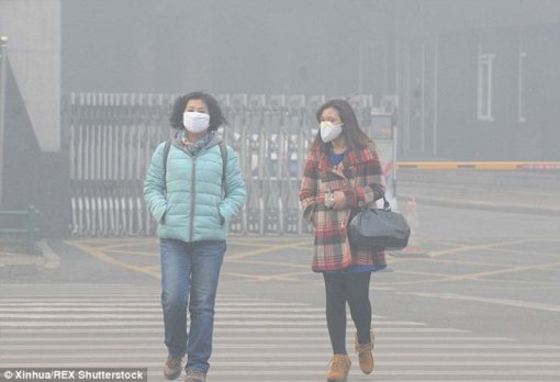 Ô nhiễm không khí gây yếu xương, nứt gãy xương