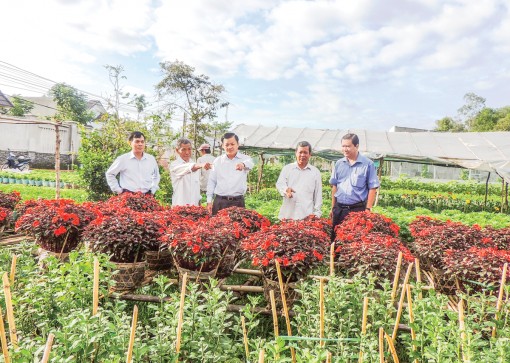 Tìm đầu ra cho sản phẩm nông nghiệp đô thị