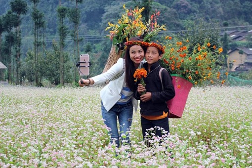 "Bản tình ca từ đá" ở vùng cao Hà Giang