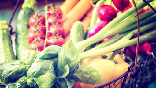 Phòng tránh các hóa chất gây ung thư