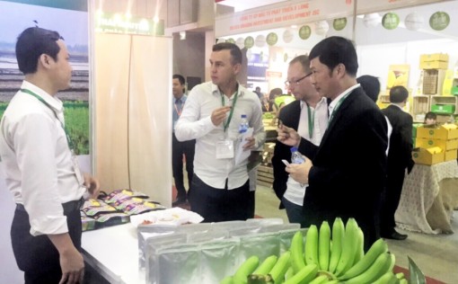 Nhiều hoạt động thúc đẩy thương mại tại triển lãm công nghiệp thực phẩm Việt Nam 2017