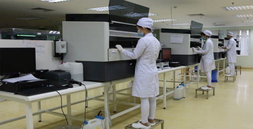 Cần Thơ: Trên 2% dân số tham gia hiến máu