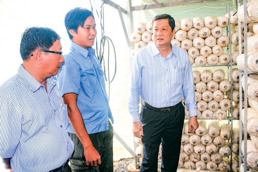 Cần chính sách hữu hiệu tăng thu hút đầu tư vào nông nghiệp