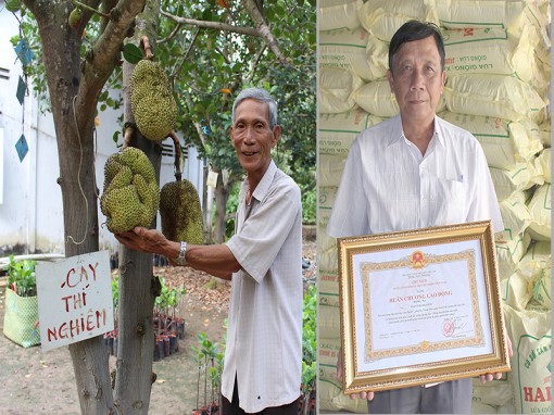 Những nông dân năng động hội nhập