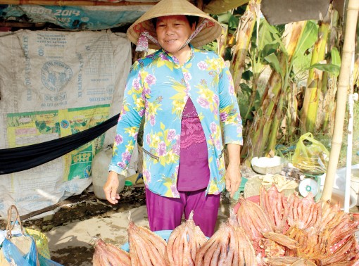 Đa dạng mô hình phát triển kinh tế