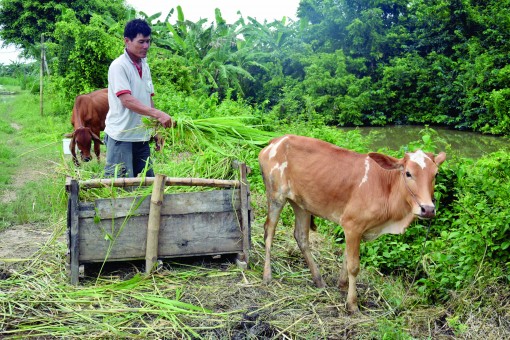 ជំ​នួយ​ជន​រួម​ជាតិ​ចាក​ផុត​ពី​ភាព​ក្រី​ក្រ