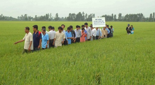 Tập trung nâng chuẩn tiêu chí xã nông thôn mới