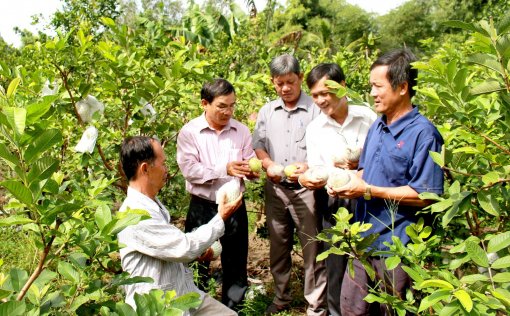 Thới Lai phấn đấu ra mắt

xã nông thôn mới Trường Thắng