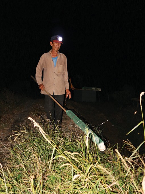 Thú vị nghề săn nhái đêm